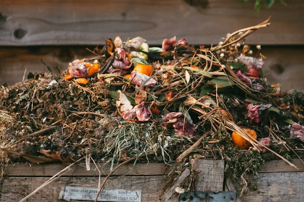 Bac à compost en bois rempli de déchets verts, de feuilles et d'épluchures