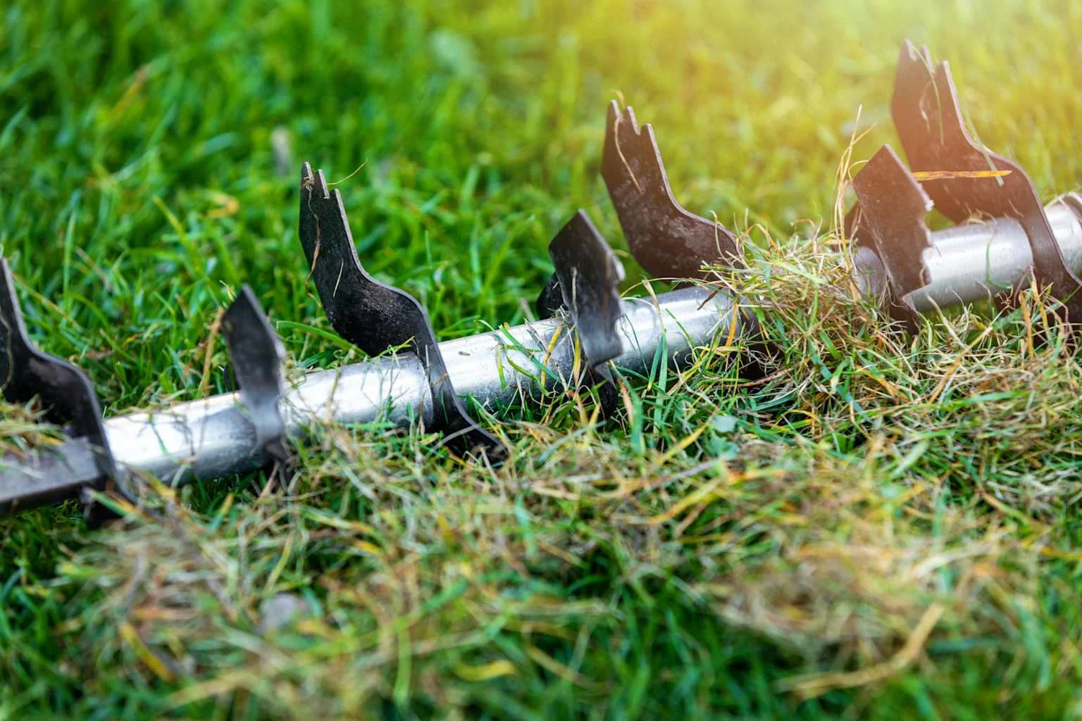 Lame de scarificateur retirant le feutrage d'une pelouse