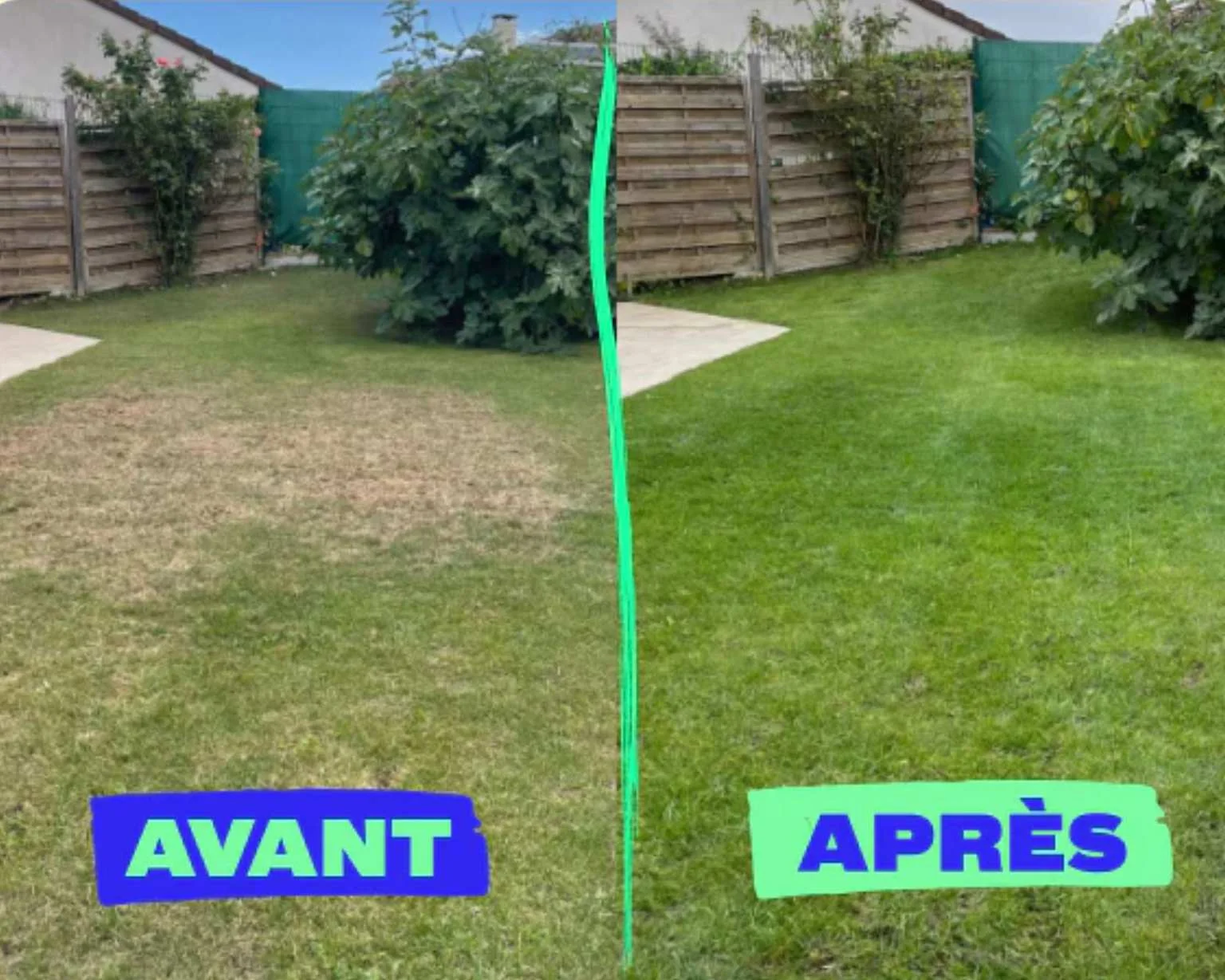 Regarnissage de gazon avant et après dans le Puy-de-Dôme