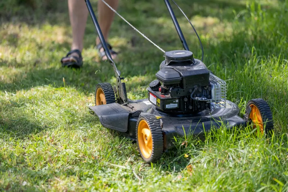 Tonte d'une pelouse au printemps avec une tondeuse thermique