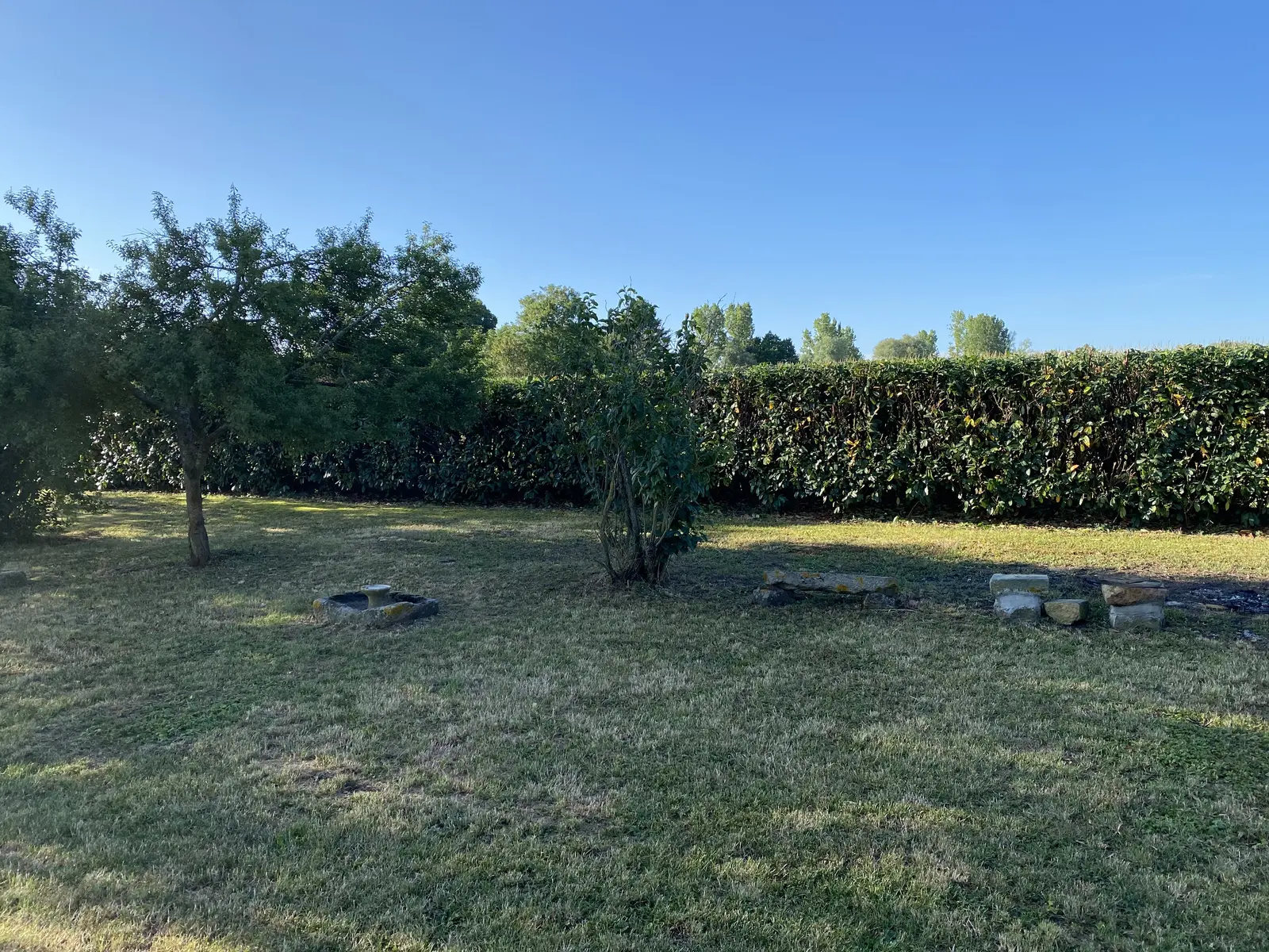 Rabattage de haie réalisé près de Riom par L'Entreprise Paysagiste