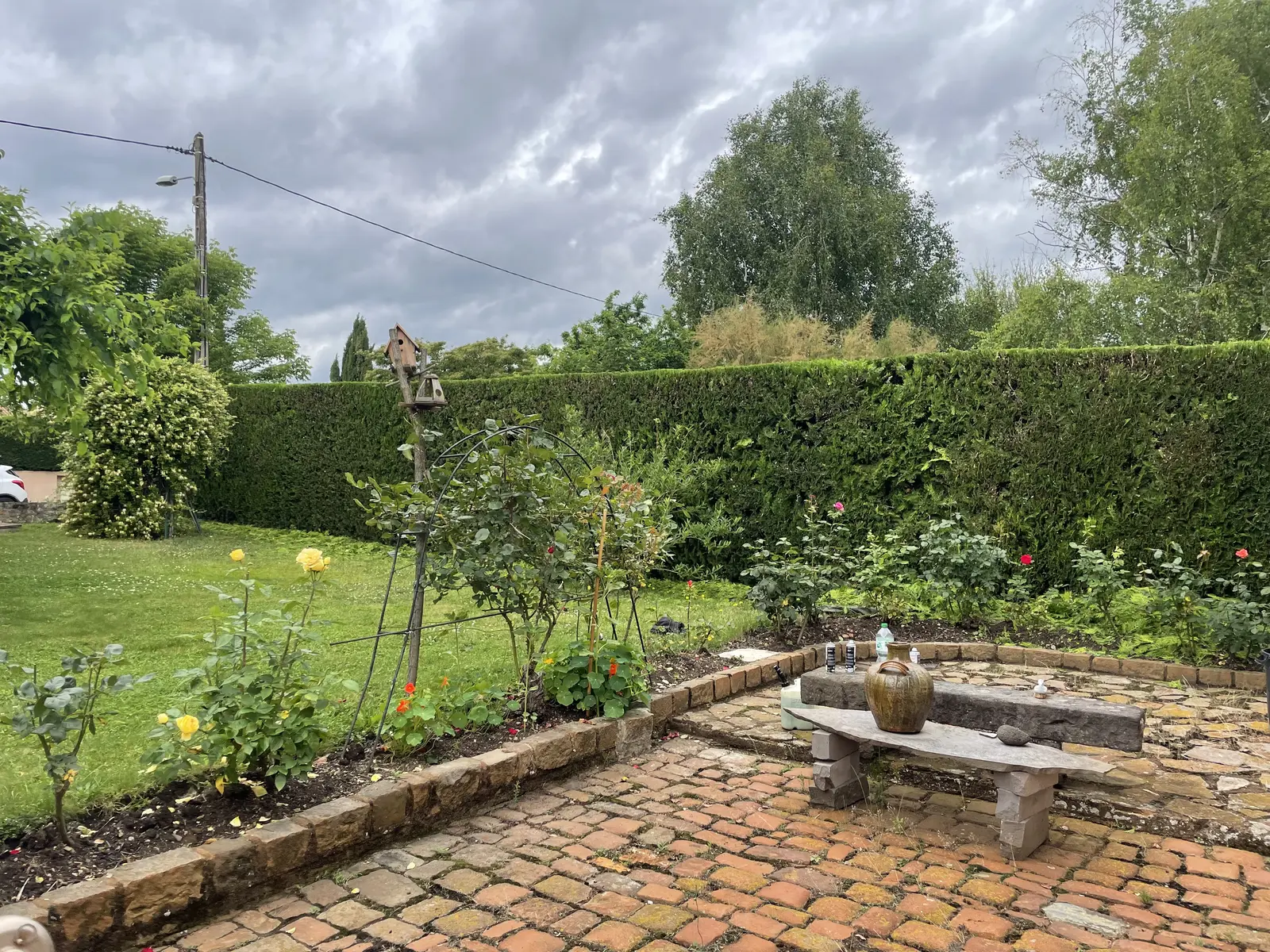 Taille de haie dans le secteur de Riom