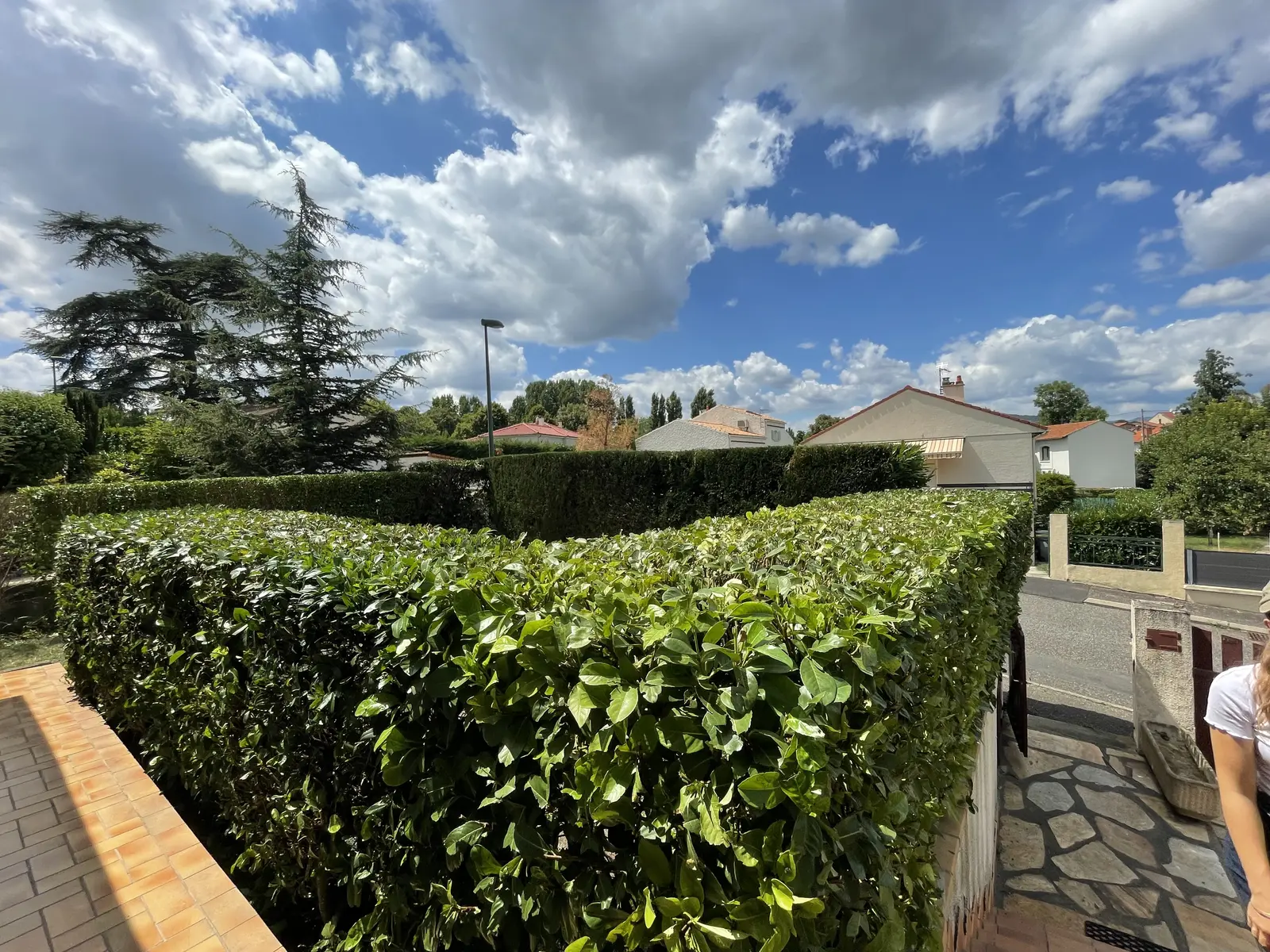 Taille de haie réalisée par L'Entreprise Paysagiste près de Royat