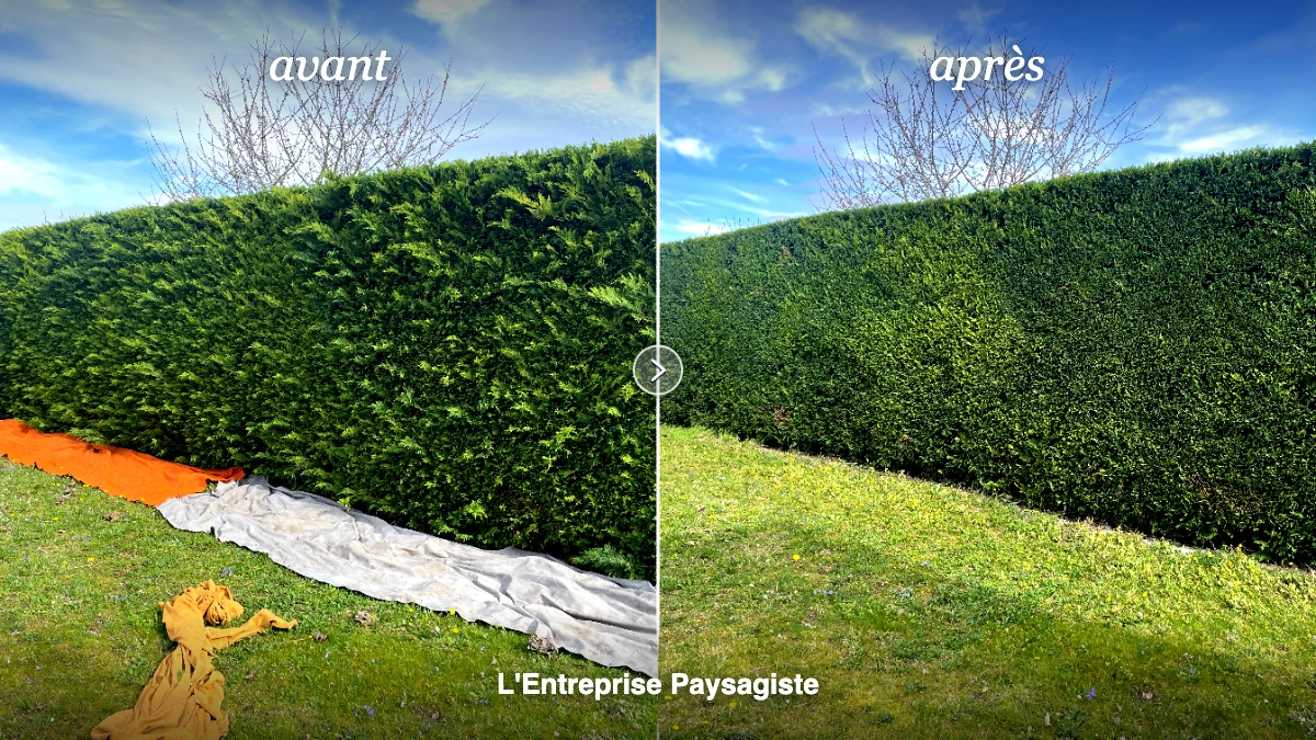 Taille de haie réalisée par L'Entreprise Paysagiste aux Martres-d'Artière