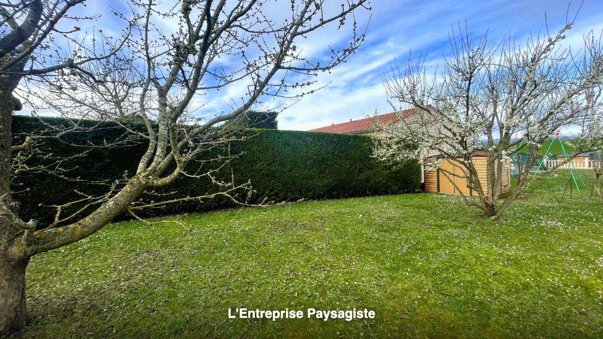 Entretien de haie et jardin aux Martres-d'Artière (63430)