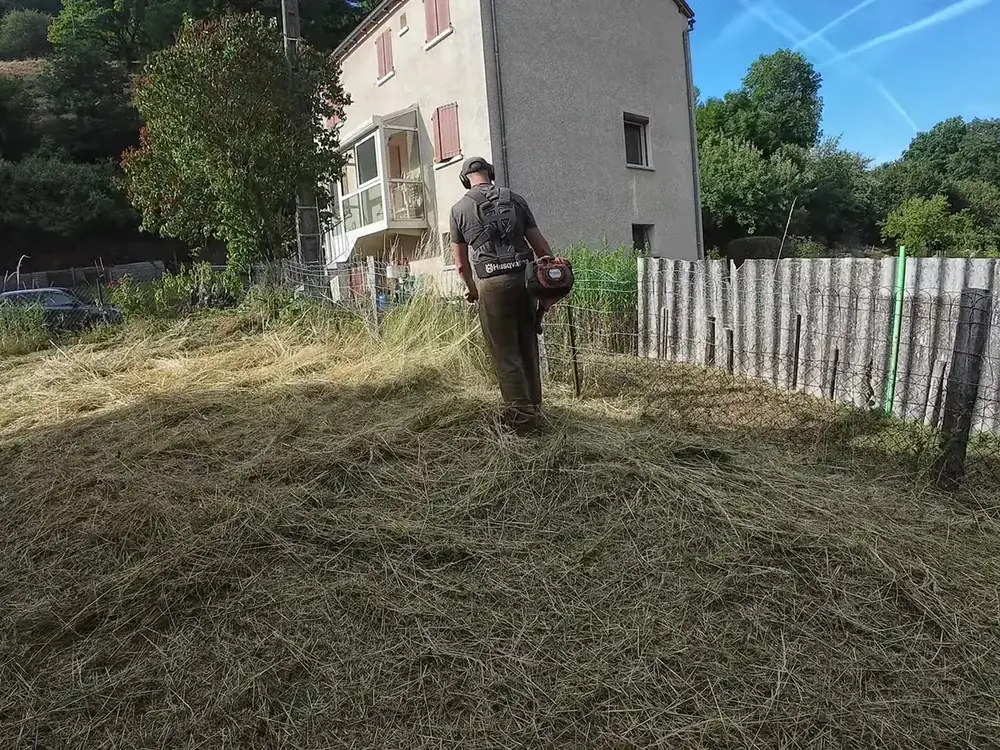Terrain dégagé à la débroussailleuse, herbes hautes coupées au sol