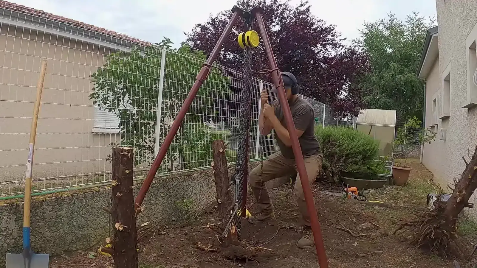 Arrachage d'une souche de cyprès avec un trépied et un palan à chaîne