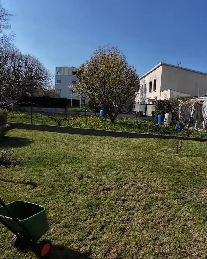 Regarnissage d'une pelouse